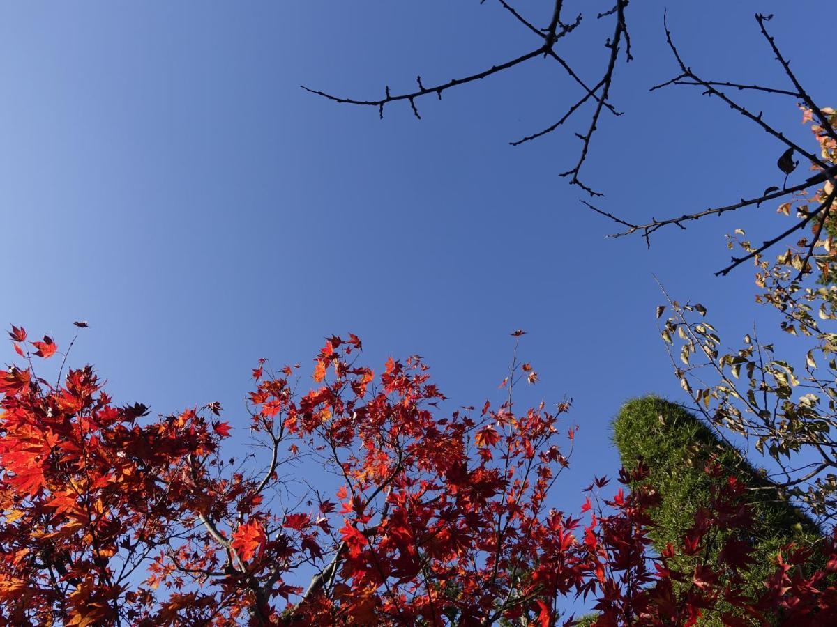 奥伊玛苏恩公寓 佐久市 外观 照片